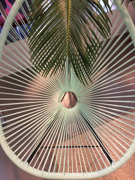 istock Acapulco chair with palm leaf 1124403681
