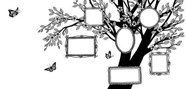 abbildung eines stammbaumes, schwarze und weiße zeichnung mit leeren rahmen und schmetterlinge - baum fotos stock-grafiken, -clipart, -cartoons und -symbole