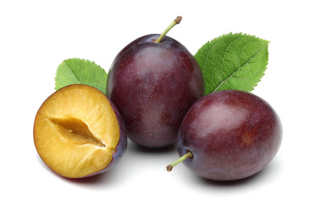 istock Damson plums with leaves on white background 1124405085