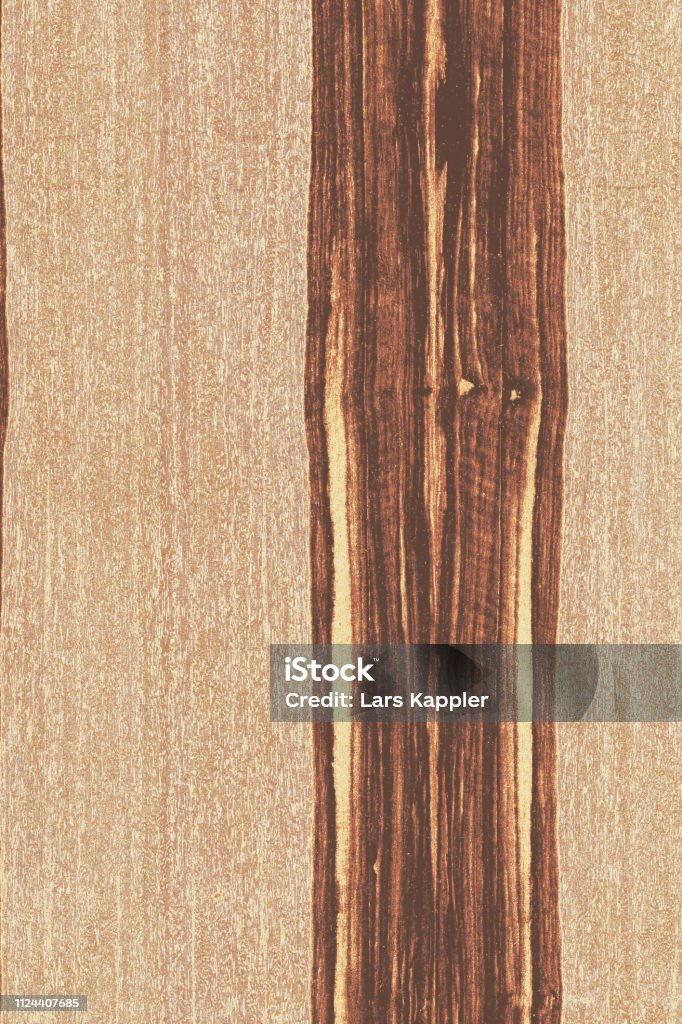 Ash Tree Structure Ashtree Timber Wood Surface Wallpaper Structure Texture Background ...