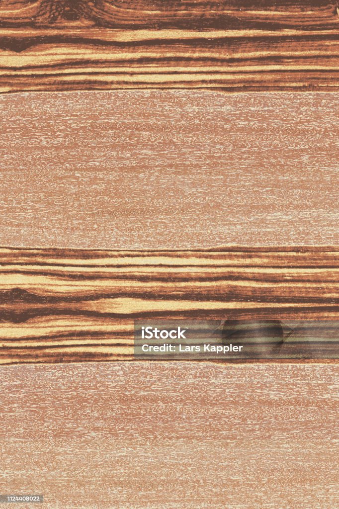 Ash Tree Structure Ashtree Timber Wood Surface Wallpaper Structure Texture Background ...