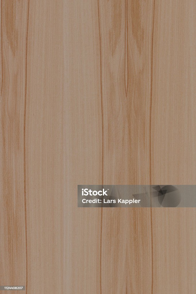 Ash Tree Structure Ashtree Timber Wood Surface Wallpaper Structure Texture Background ...