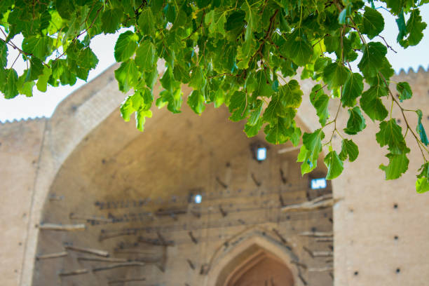 istock Turkistan Kazakhstan 1124409614