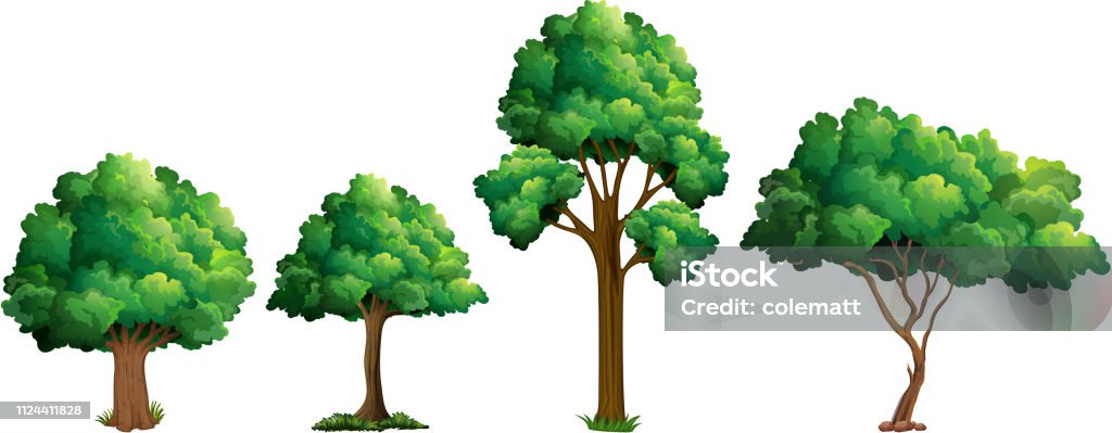 Multiple Tree Designs Set Of Different Tree Design Stock Illustration - Download Image Now ...