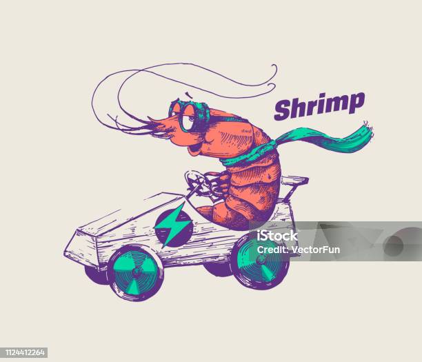 Hipster Shrimp Is Riding An Electric Go Cart Vector Illustration Hand Drawn Racer Crab Wearing Goggles And Scarf Racing With Fast Car Line Art Design For Posters And Cool Stickers Stock Illustration - Download Image Now