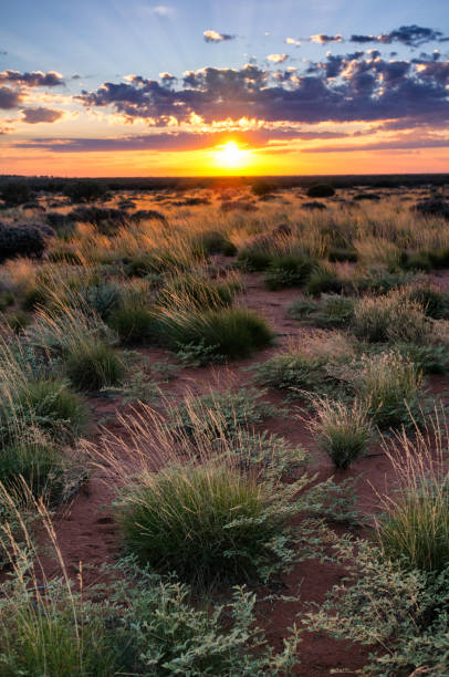 istock Dawn In The Australian Outback 1124418277