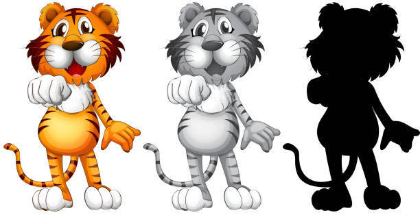 zestaw tygrysa - tiger pointing vector cartoon stock illustrations