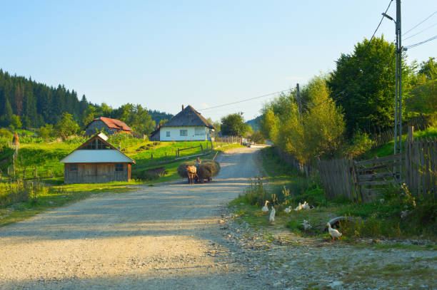 Man riding in horse cart with hay through the typical Romanian village, Romania