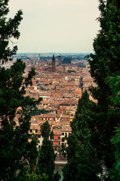 Aerial view of Verona, Italy - Tree frame, vertical
