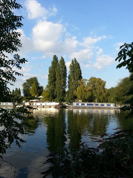 istock Trees across the calm river 1124426550