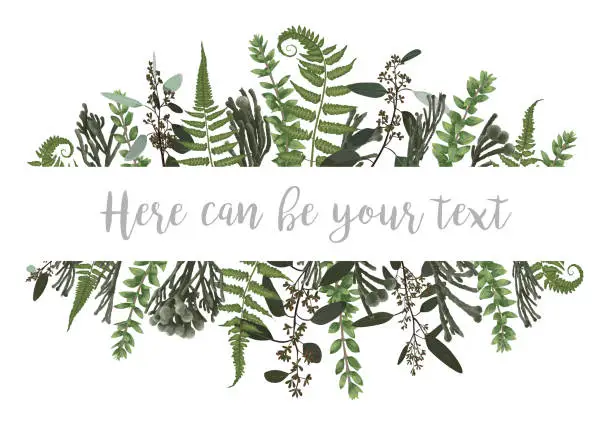 Vector illustration of Vector illustration of a frame with green leaves of a forest fern, boxwood and eucalyptus, brunia. Pattern for wedding invitations, greeting cards, banners, certificates