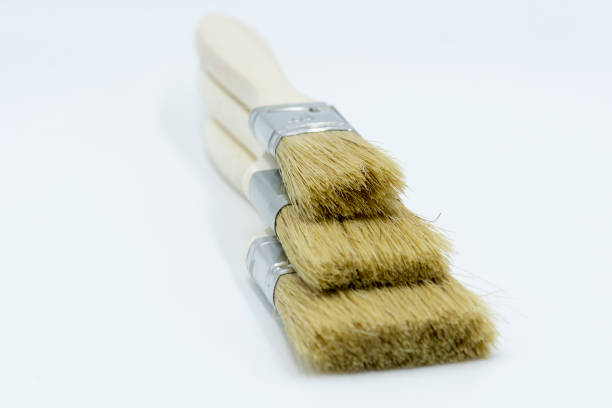 istock three painter brushes on white background ideal for product photography 1124428837