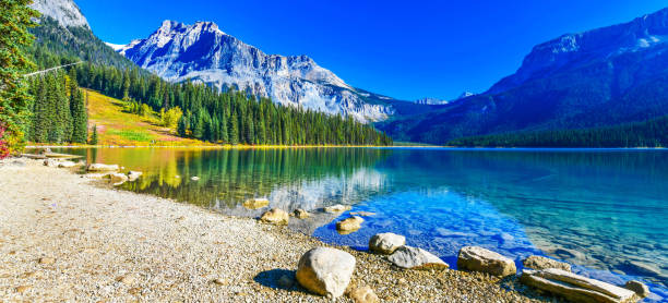 Emerald Lake,Yoho National Park in Canada