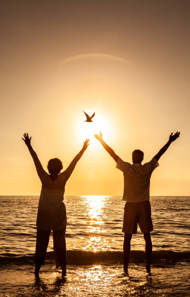 Senior man and woman couple hands in the air celebrating at sunset or sunrise on a deserted tropical beach while a bird flies past the sun Senior man and woman couple hands in the air celebrating at sunset or sunrise on a deserted tropical beach while a bird flies past the sun gold to ira stock pictures, royalty-free photos & images