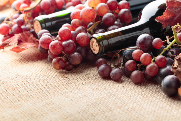 istock Red wine bottles and  grapes with dried up vine leaves. 1124436011