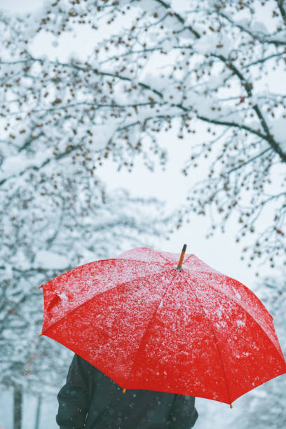 istock Woman under red umbrella in snow 1124436783