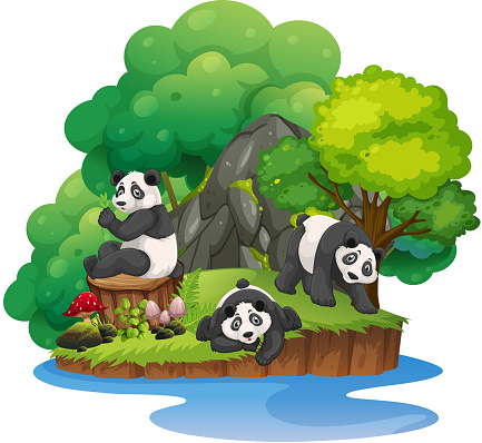 Isolated nature island with panda illustration