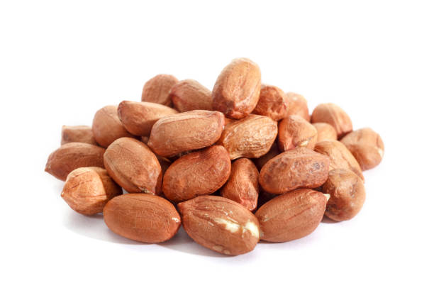 Isolated peanut. Walnut purified on a white background. Protein food. Raw peanuts.