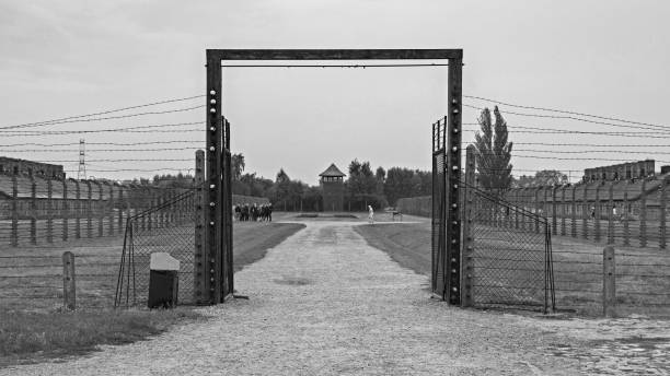 tor in birkenau - prison architecture black white stock-fotos und bilder