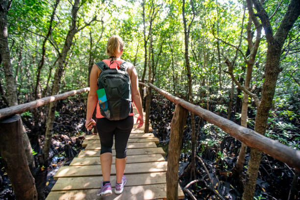 istock Young Woman Exploring Jozani Forest on Zanzibar 1124441769