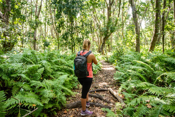 istock Young Woman Exploring Jozani Forest on Zanzibar 1124441772