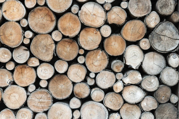istock Closeup Wood Logs Background 1124461428