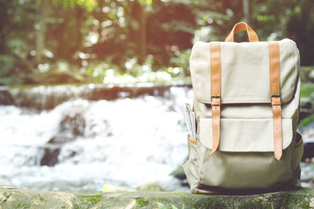 istock Hipster Backpack walk in the forest Travel accessories and map on Timber lumber log. View from backside tourist traveler bag on background Forest tree. concept holidays Travel. 1124467791