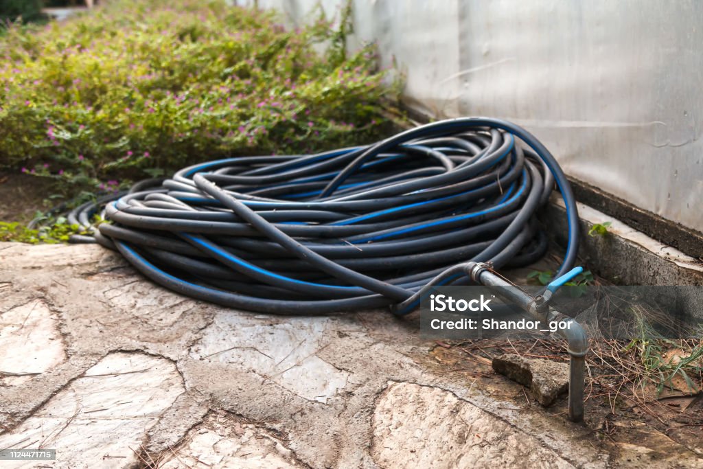 A black plastic hose with a blue stripe is twisted into rings and connected to a water pipe on the backyard Black plastic hose for cold water is used for watering plants and shrubs in the garden. Twisted and laid in rings, connected to a water pipe in the backyard Hose Stock Photo