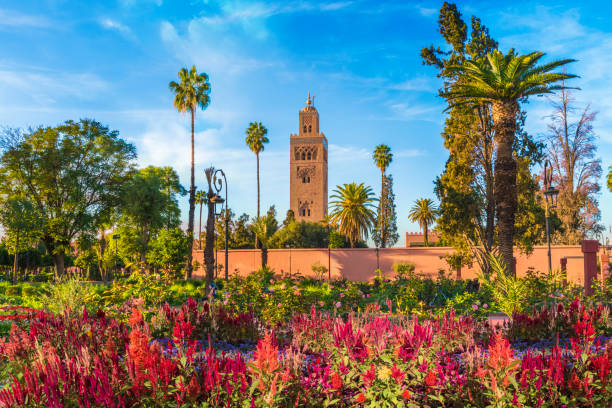 koutoubia moschee und gardem, marrakesch - minarett stock-fotos und bilder