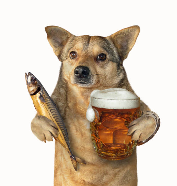 istock Dog with glass of beer and fish 1124477301