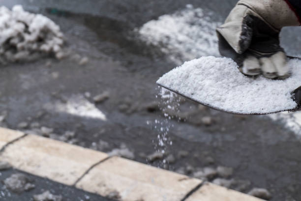 istock Winter.Worker spreading salt on icy sidewalk 1124477753