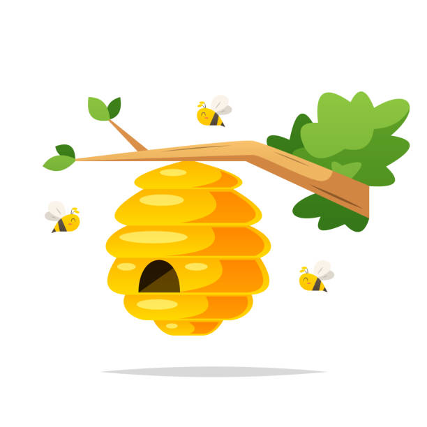 Honey bee nest vector isolated illustration Vector element bee clipart stock illustrations