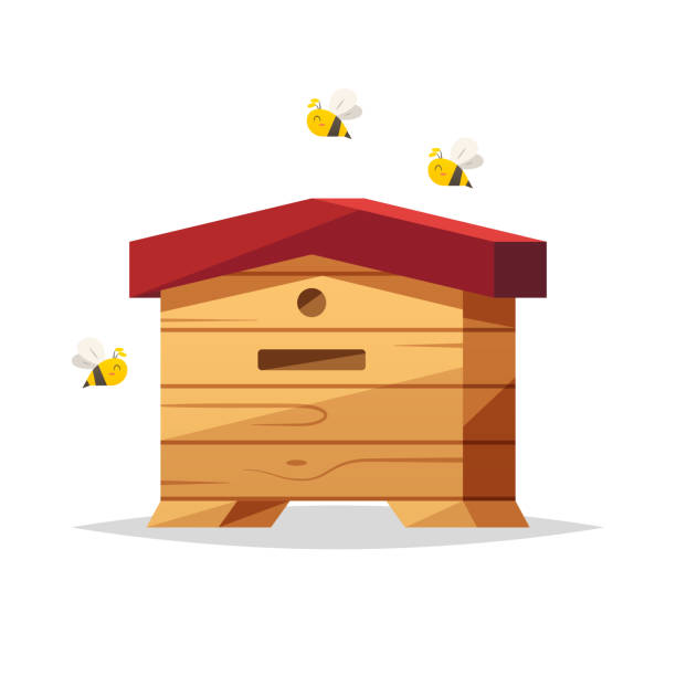 Wooden beehive vector isolated illustration Vector element beehive stock illustrations