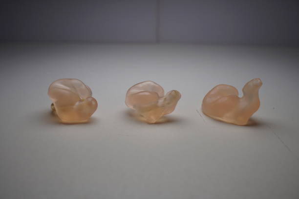 istock The Shell Mold used by the hearing aid. The material is silicone. 1124479054