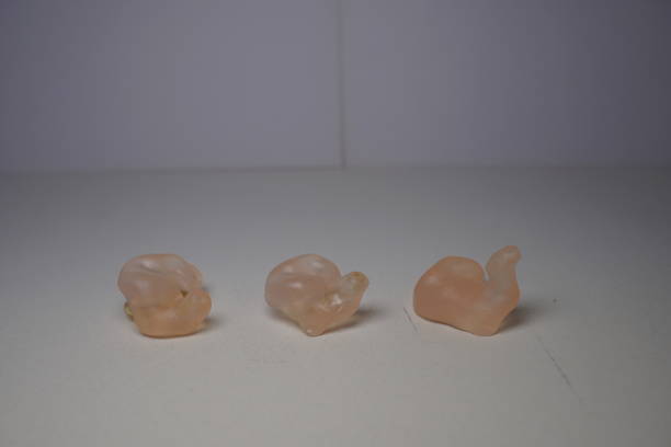 istock The Shell Mold used by the hearing aid. The material is silicone. 1124479081