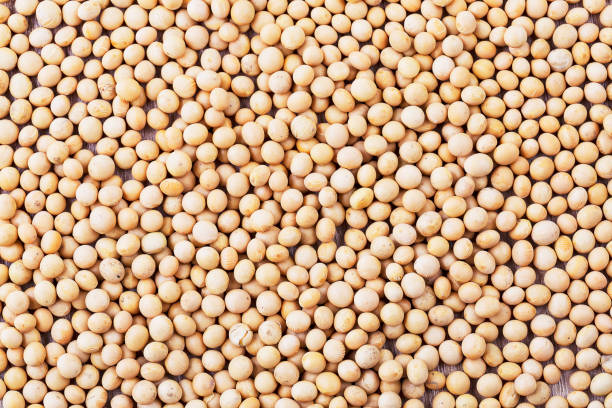 Top view of healthy grains soy beans surface stock photo