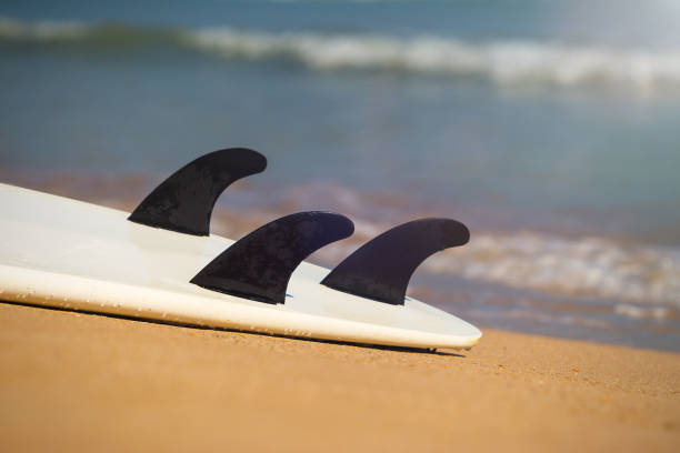 istock surfboards lays on the tropical beach 1124486491