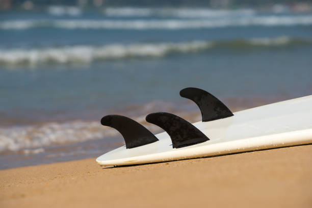 istock surfboards lays on the tropical beach 1124486492