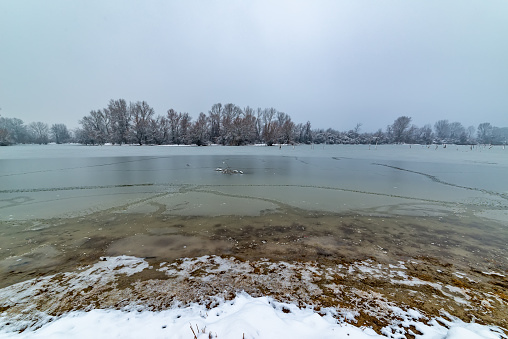 Danube island (Šodroš) near Novi Sad, Serbia. Colorful landscape with snowy trees, beautiful frozen river.