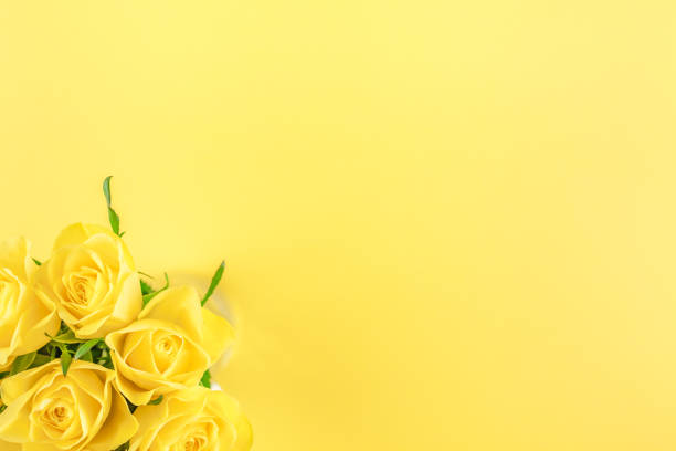 istock Fresh yellow roses bouquet 1124488217