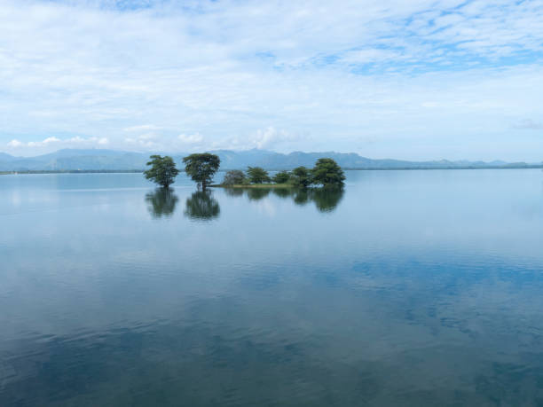 istock Lunuganwehera Reservoir, Sri Lanka 1124489046