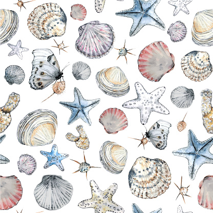 Vector seashells watercolor seamless pattern with butterflies and plants on a white background.