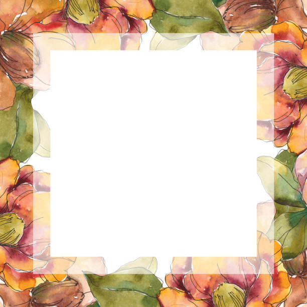 istock Orange camelia. Floral botanical flower. Watercolor background illustration set. Frame border ornament square. 1124490510