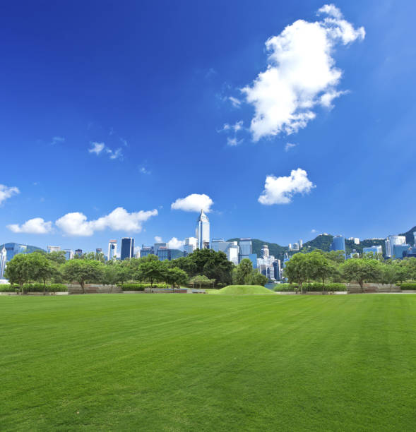 istock Beautiful park at a sunny day 1124491213