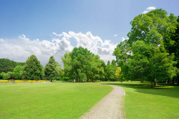 istock Bright summer sunny day in park with green fresh grass and trees. 1124491237