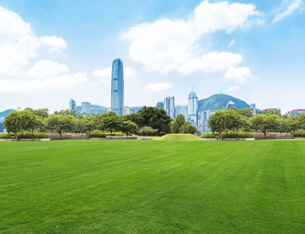 istock Beautiful park at a sunny day 1124491268