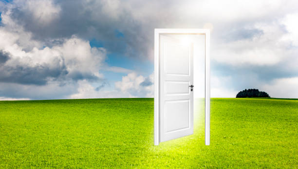 istock Door in Green Meadow 1124491950