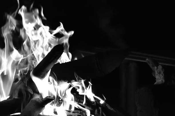 Campfire flame in dark with Monochrome effect