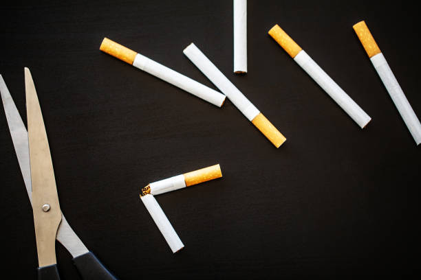 istock Stop smoking concept on background with broken cigarettes. Heap of cigarettes. No smoking 1124495364