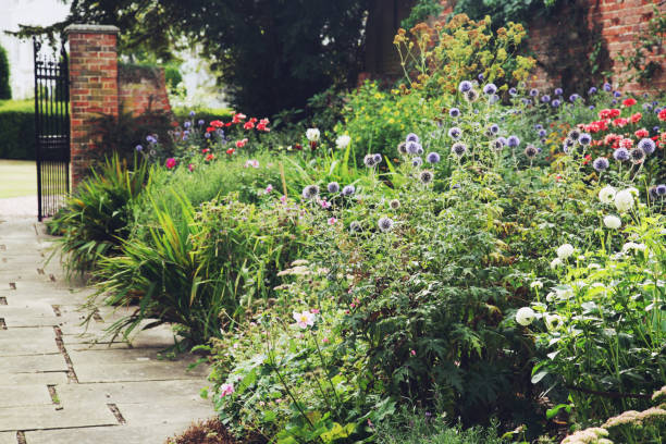 istock English country garden 1124497820